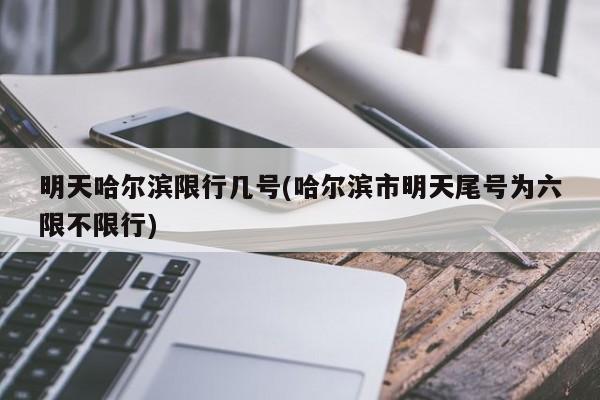 明天哈尔滨限行几号(哈尔滨市明天尾号为六限不限行)