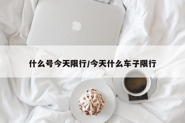 什么号今天限行/今天什么车子限行