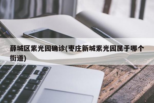 薛城区紫光园确诊(枣庄新城紫光园属于哪个街道)