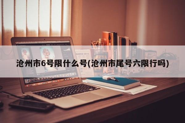沧州市6号限什么号(沧州市尾号六限行吗)