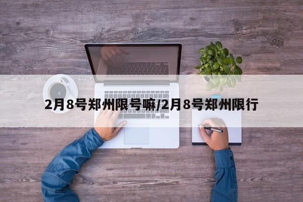 2月8号郑州限号嘛/2月8号郑州限行